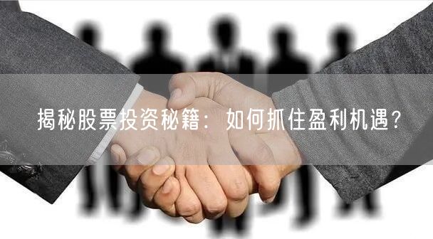 揭秘股票投资秘籍:如何抓住盈利机遇?