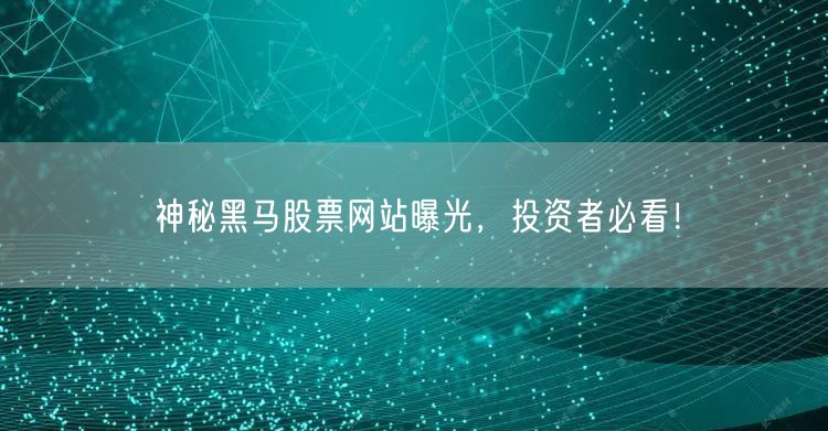 神秘黑马股票网站曝光,投资者必看!