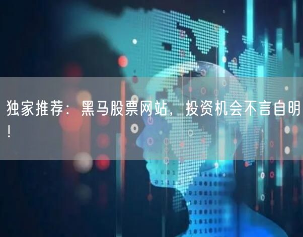 独家推荐:黑马股票网站,投资机会不言自明!