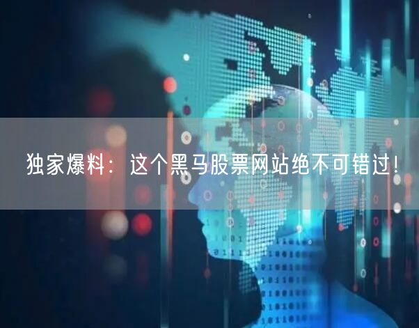 独家爆料:这个黑马股票网站绝不可错过!