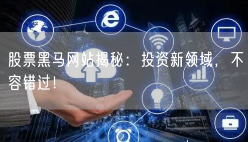 股票黑马网站揭秘:投资新领域,不容错过!
