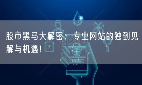 股市黑马大解密:专业网站的独到见解与机遇!