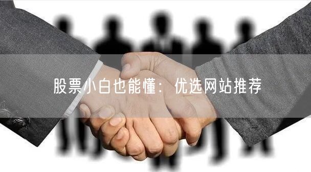 股票小白也能懂:优选网站推荐