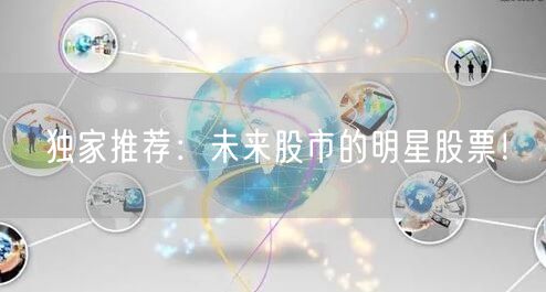 独家推荐:未来股市的明星股票!