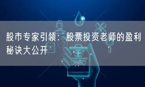 股市专家引领:股票投资老师的盈利秘诀大公开