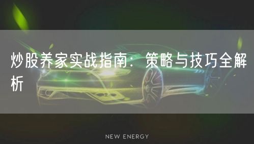 炒股养家实战指南:策略与技巧全解析