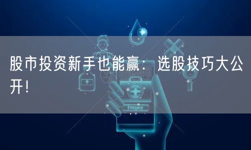 股市投资新手也能赢:选股技巧大公开!