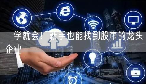 一学就会!新手也能找到股市的龙头企业