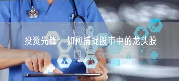 投资先锋：如何捕捉股市中的龙头股