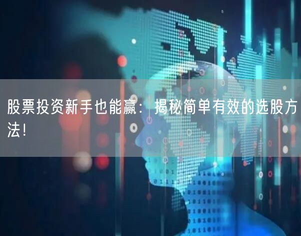 股票投资新手也能赢:揭秘简单有效的选股方法!