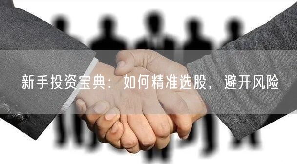 新手投资宝典:如何精准选股,避开风险