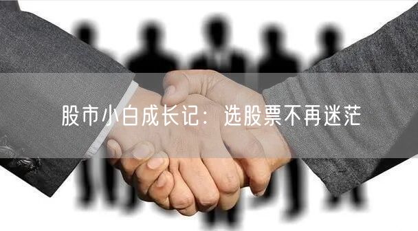 股市小白成长记:选股票不再迷茫