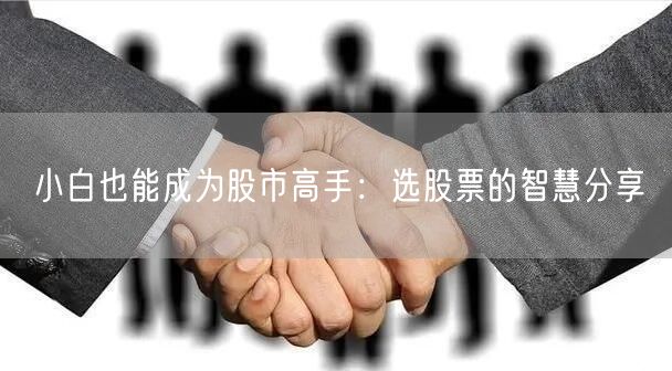 小白也能成为股市高手:选股票的智慧分享
