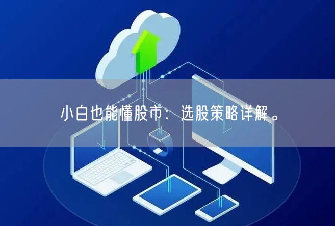 小白也能懂股市:选股策略详解。