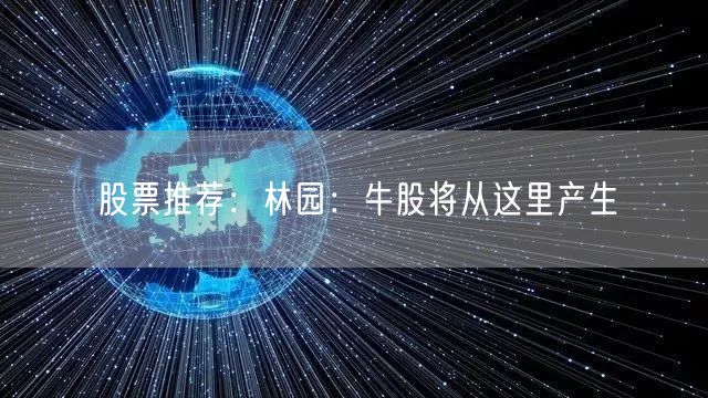 股票推荐:林园:牛股将从这里产生